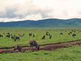 06-tanzania-38