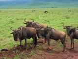 06-tanzania-39