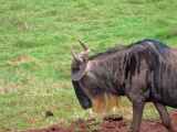 06-tanzania-40