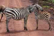 06-tanzania-41