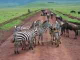 06-tanzania-43