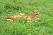 06-tanzania-49