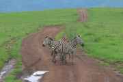 06-tanzania-51