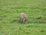 06-tanzania-52