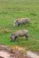 06-tanzania-53