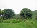 06-tanzania-58