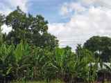 06-tanzania-63