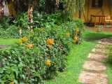 07-tanzania-02