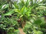 07-tanzania-07