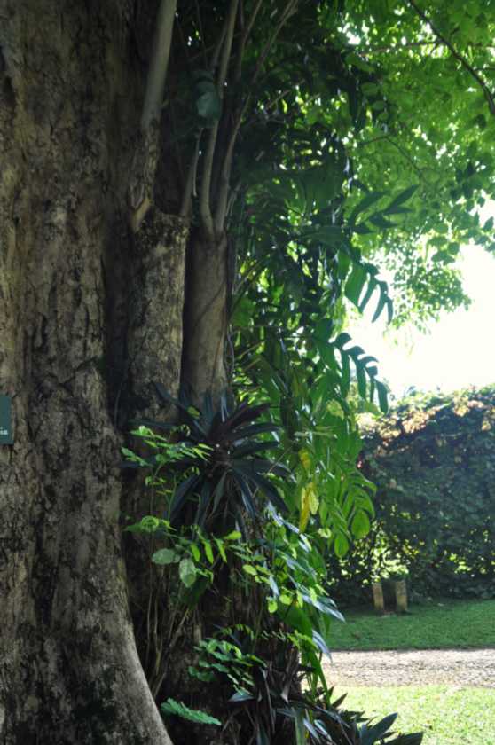 01 indo2010-44