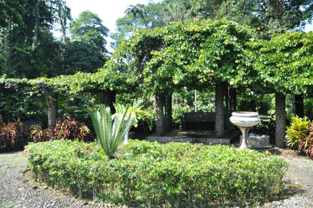 01 indo2010-48