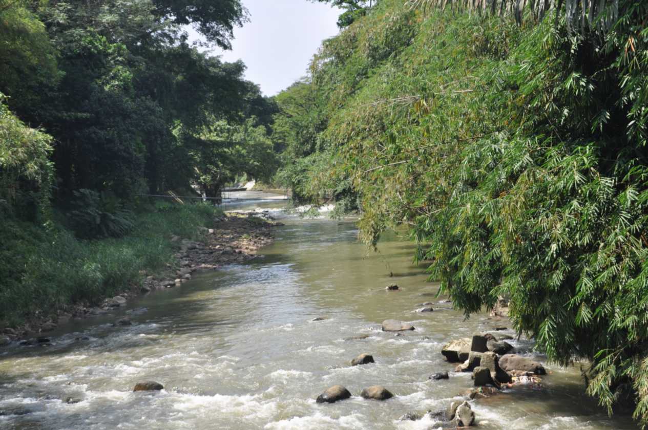 01 indo2010-63