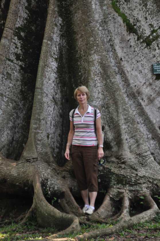 01 indo2010-65