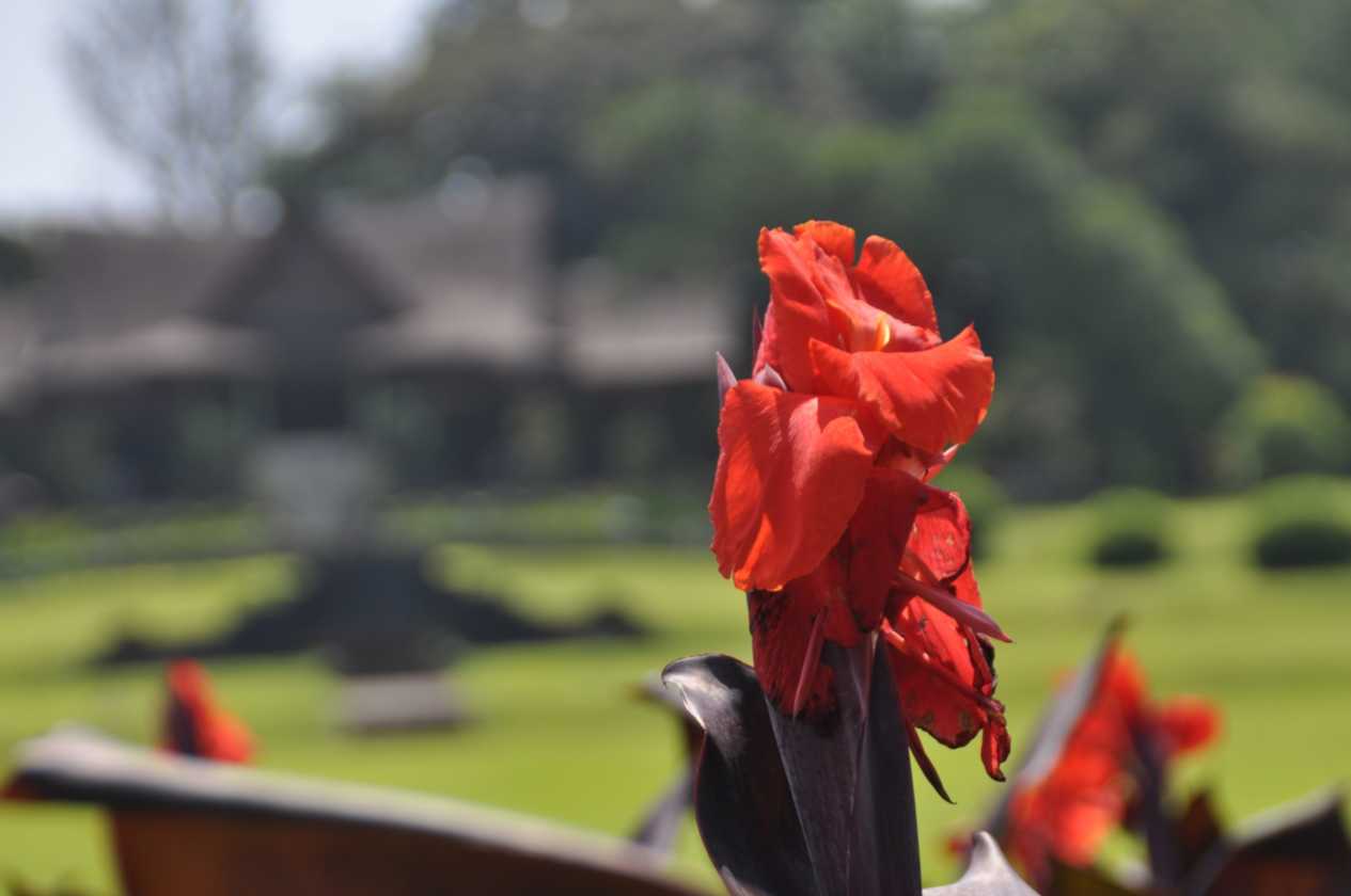 01 indo2010-68