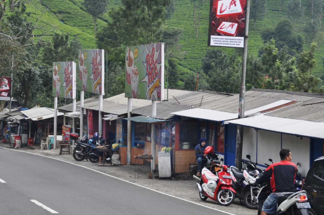 02 indo2010-01