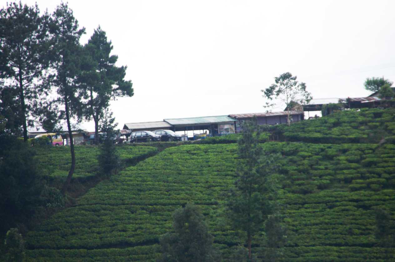 02 indo2010-13