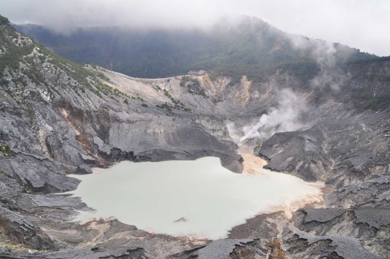 03 indo2010-03