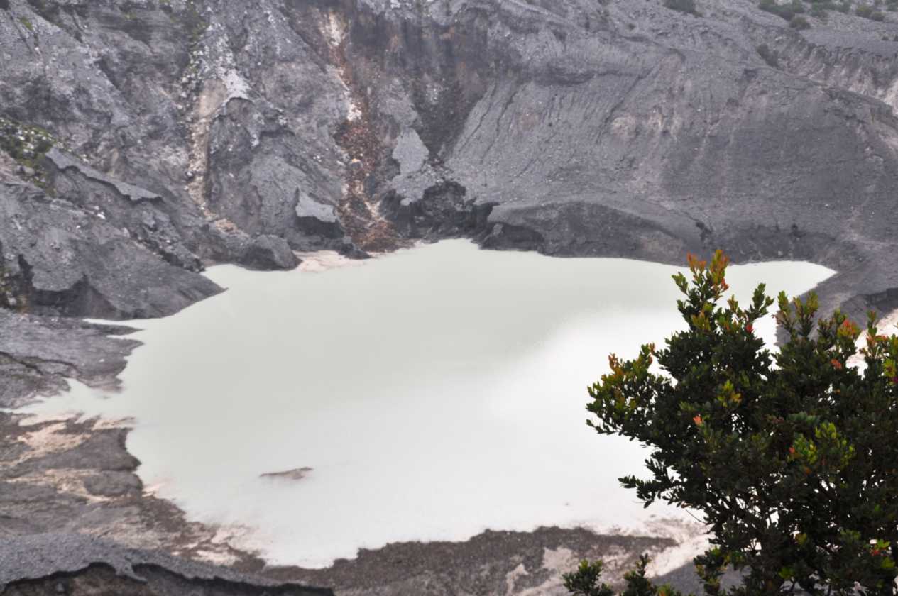 03 indo2010-08