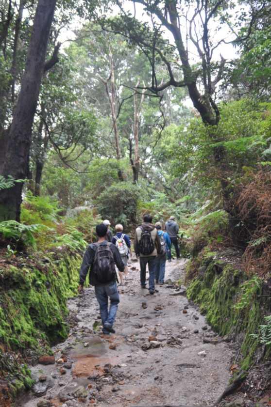 03 indo2010-19