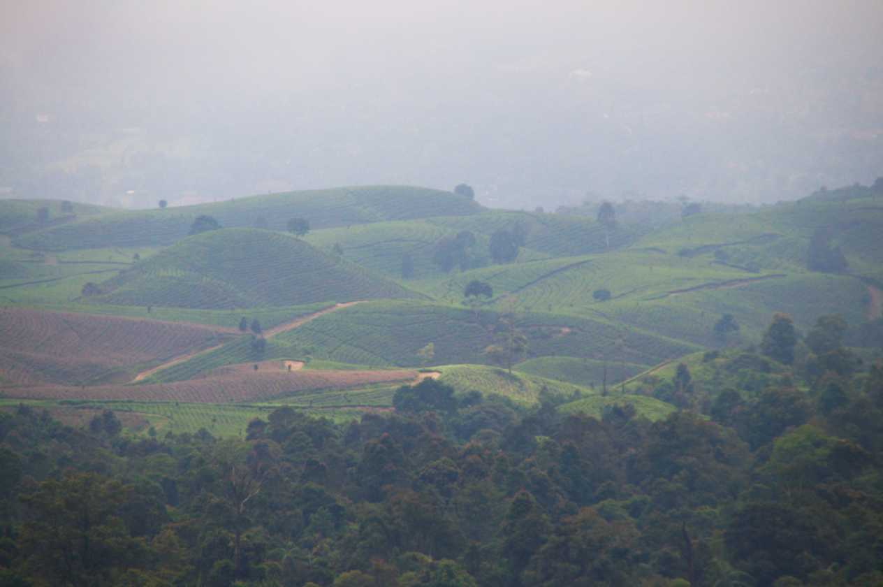 03 indo2010-21