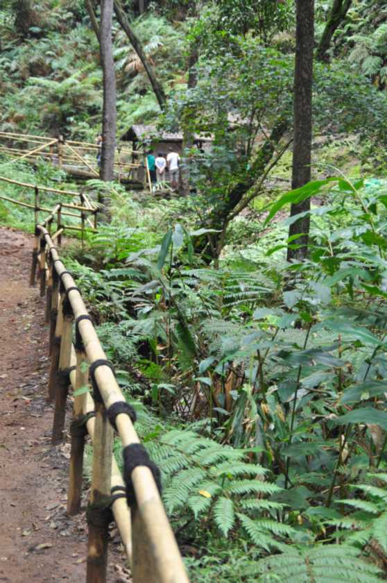 03 indo2010-44