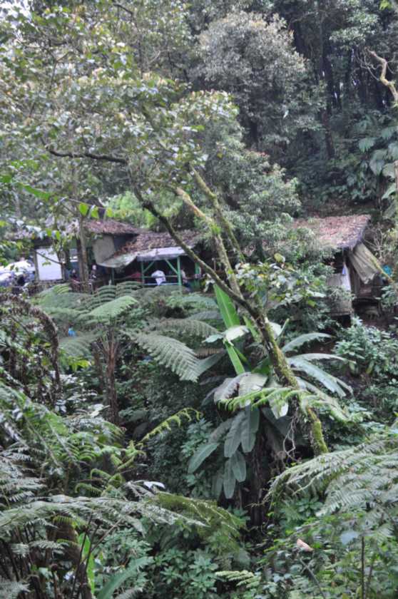 03 indo2010-49