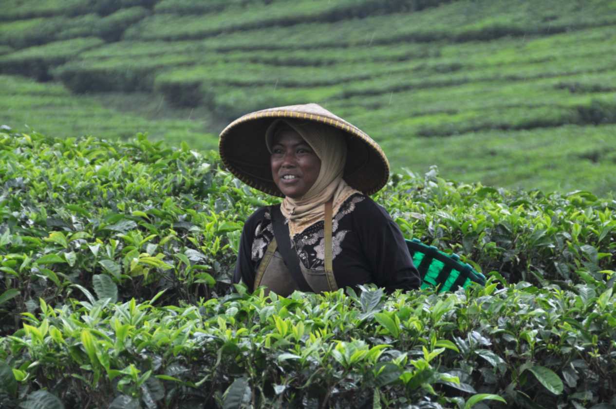 03 indo2010-56