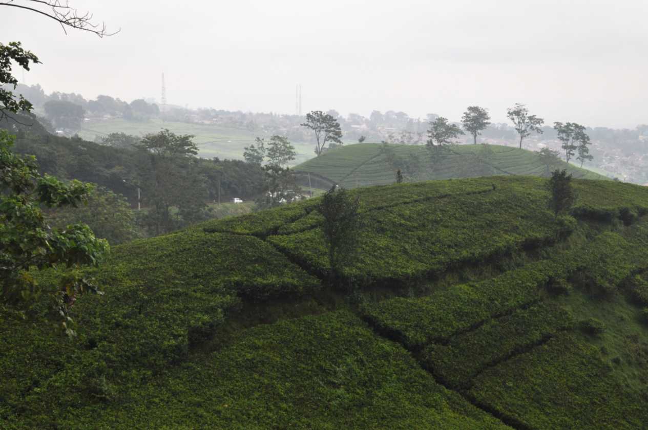 03 indo2010-58