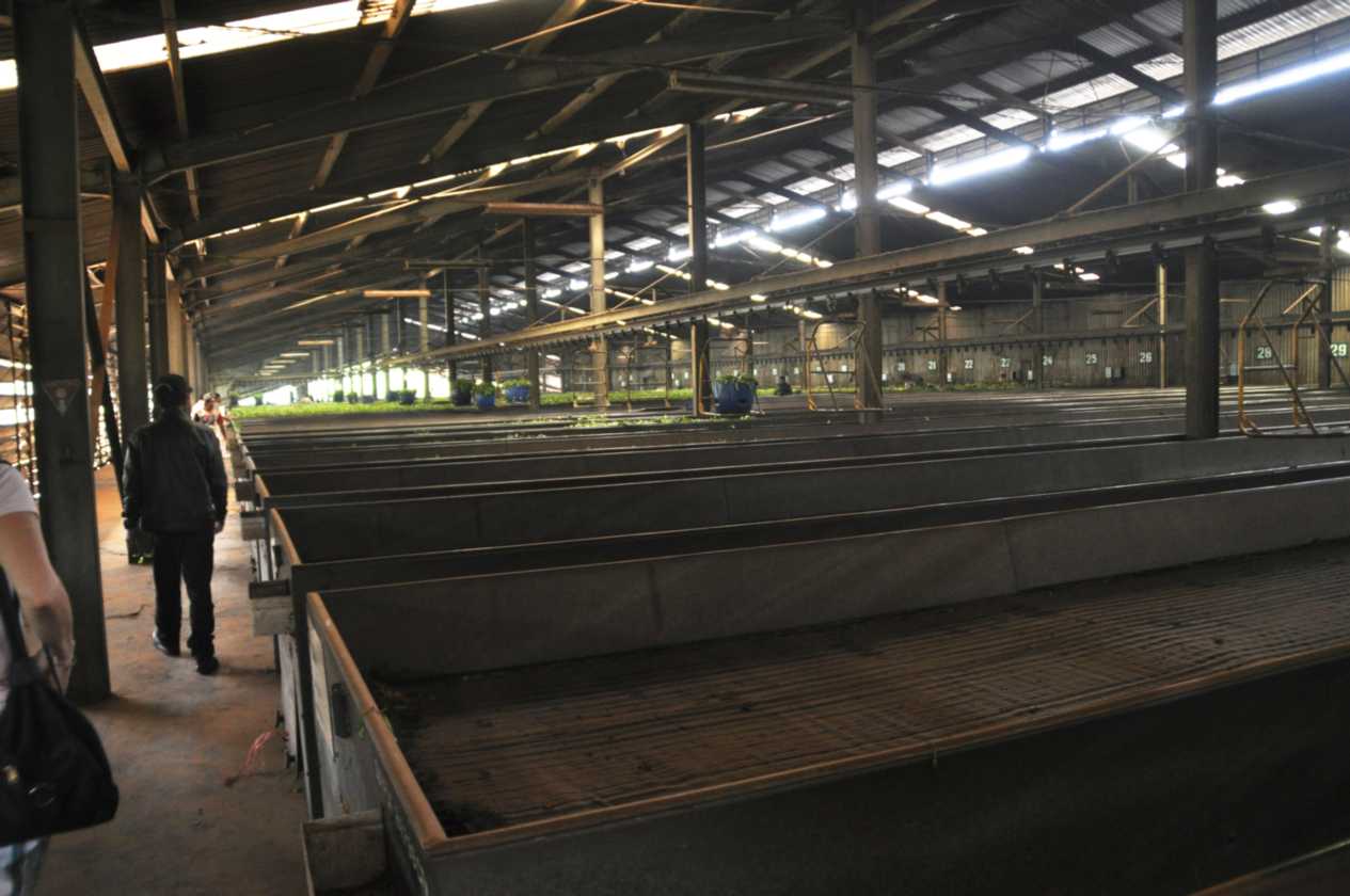 03 indo2010-59