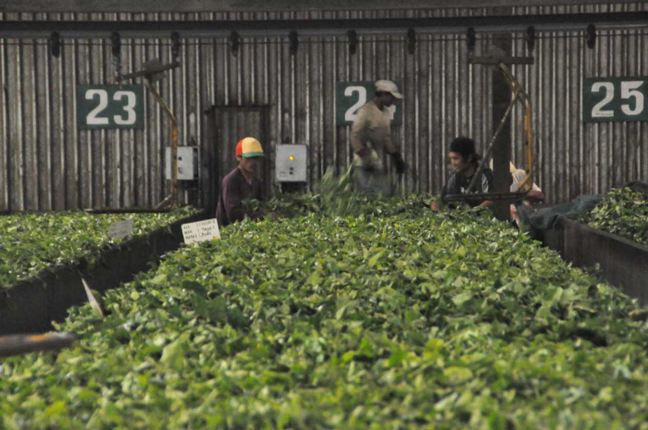 03 indo2010-61