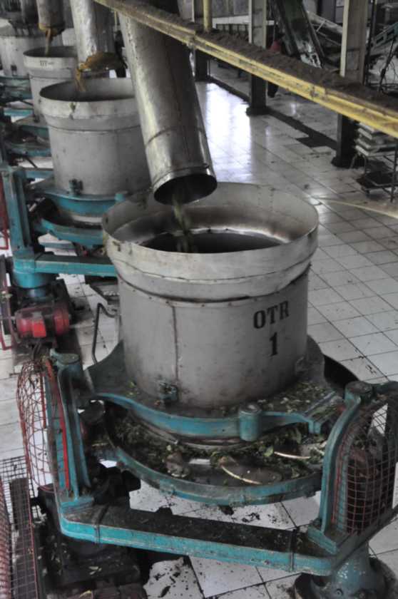 03 indo2010-64