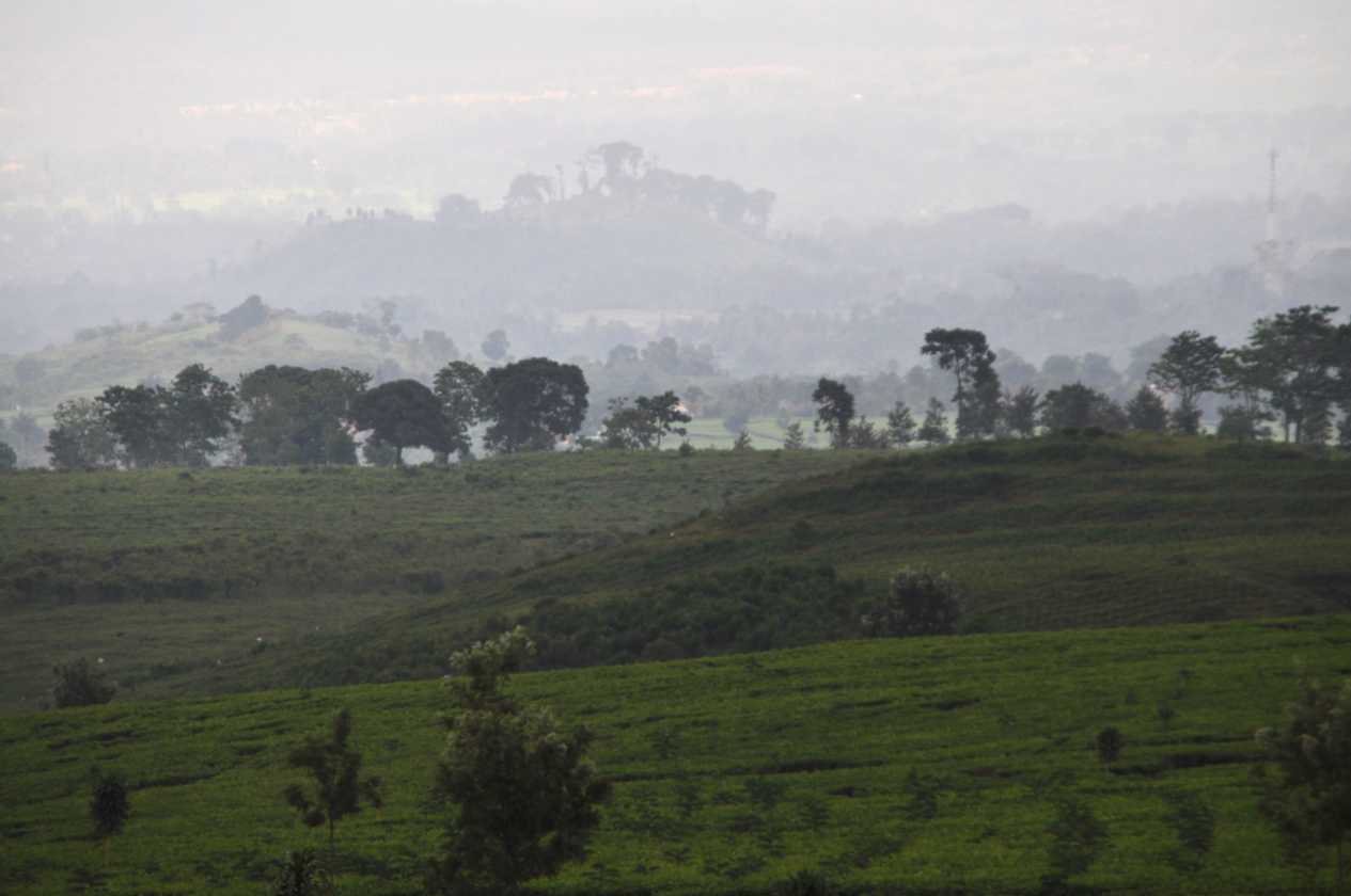 03 indo2010-73