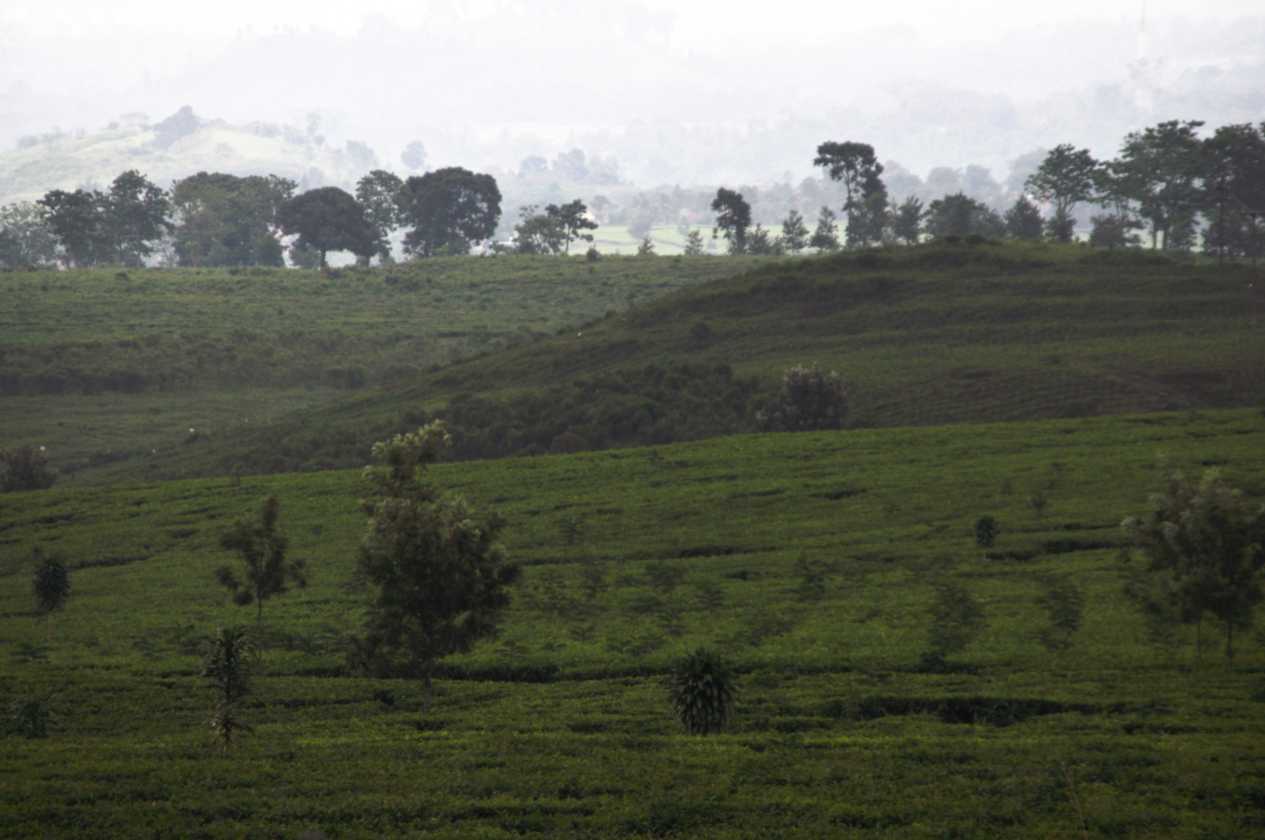 03 indo2010-74