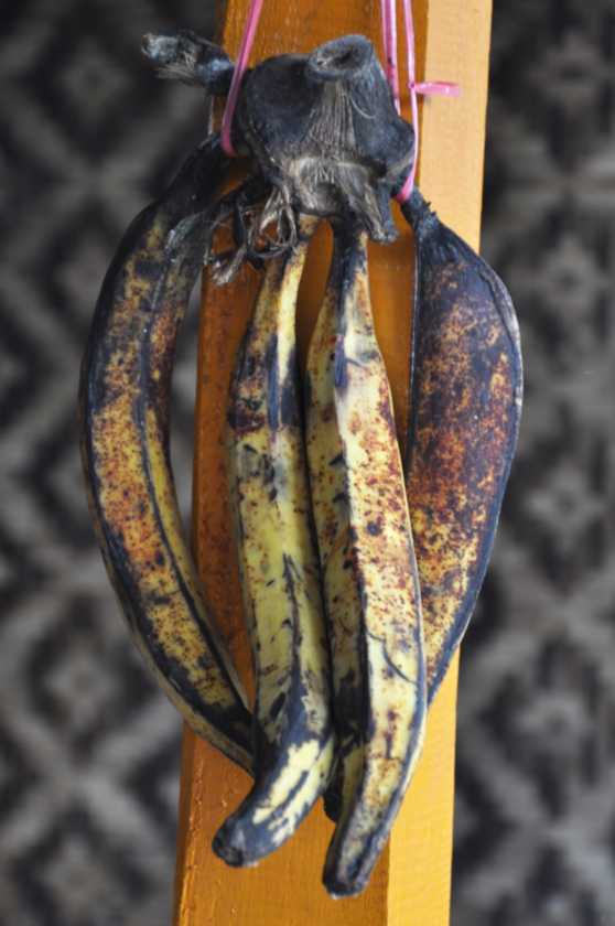03 indo2010-81
