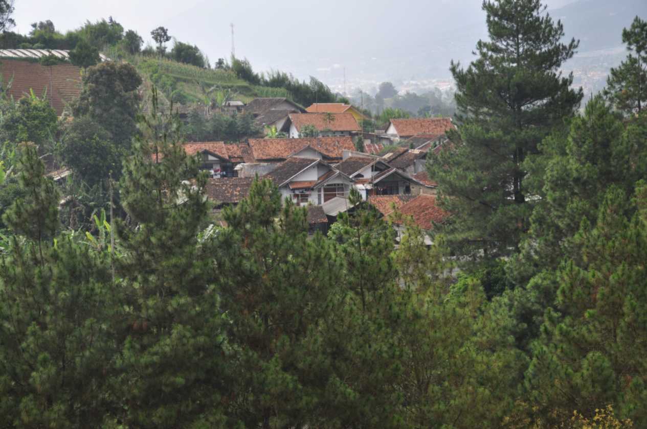 03 indo2010-86