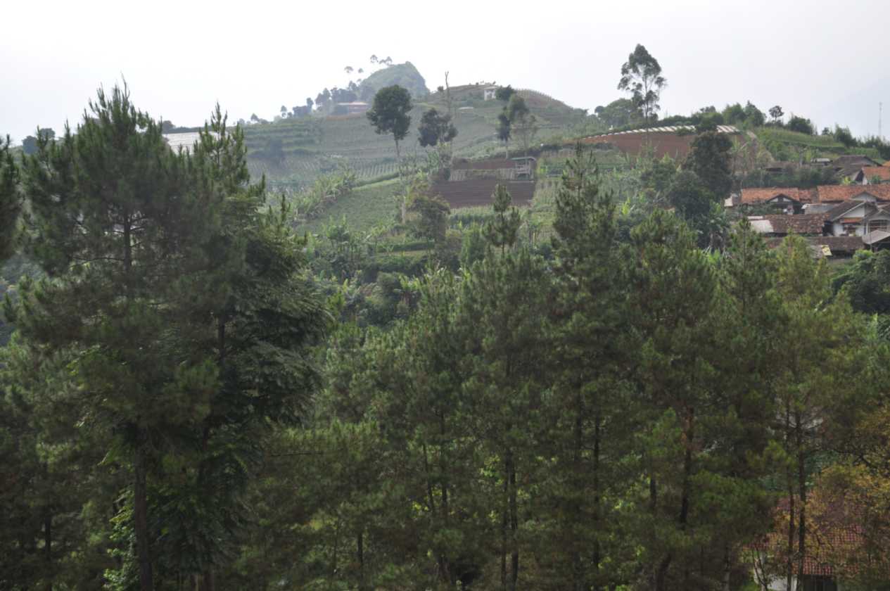 03 indo2010-87