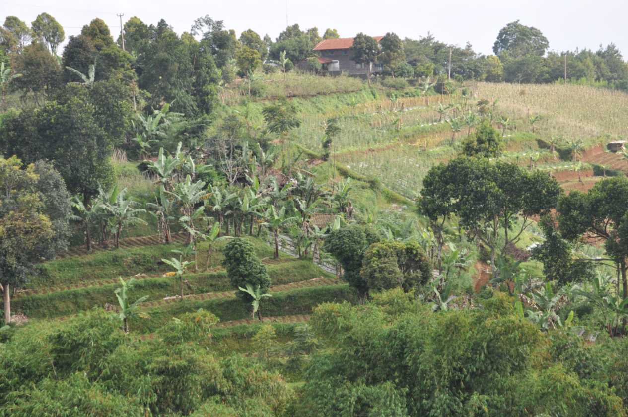 03 indo2010-90