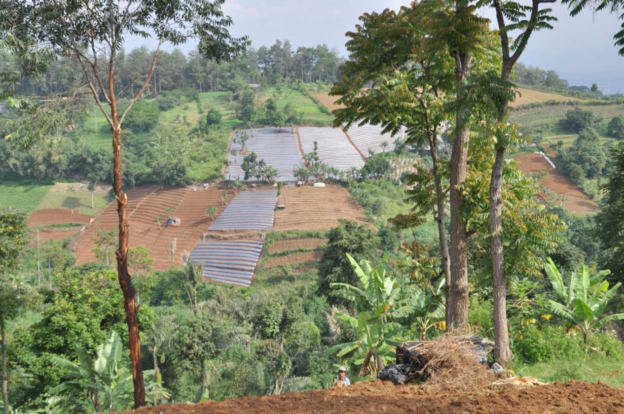 03 indo2010-92