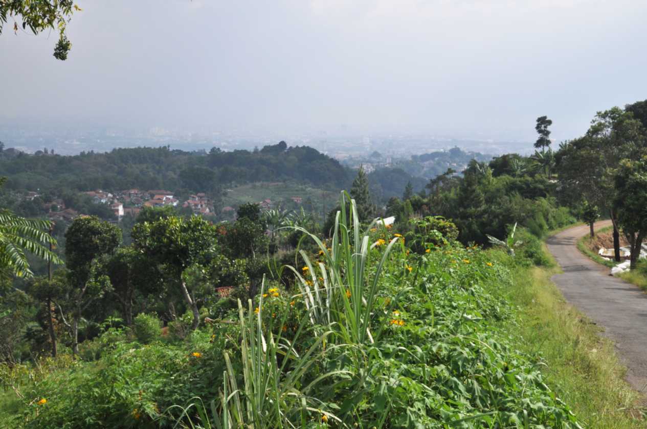 03 indo2010-93