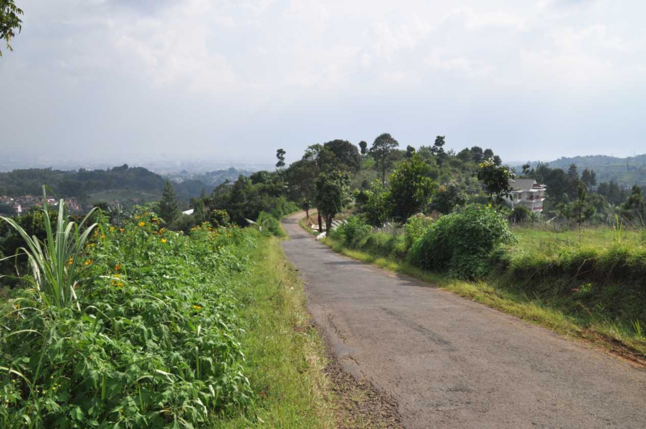 03 indo2010-94