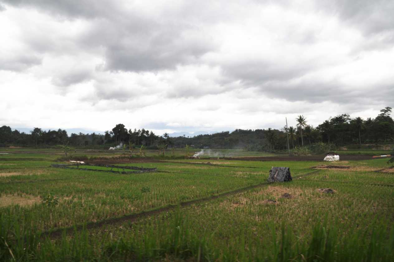 04 indo2010-03
