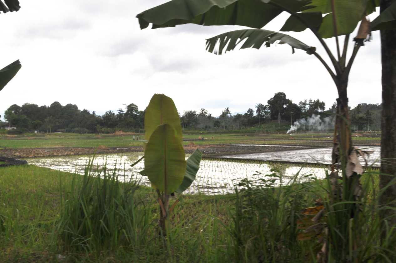 04 indo2010-04