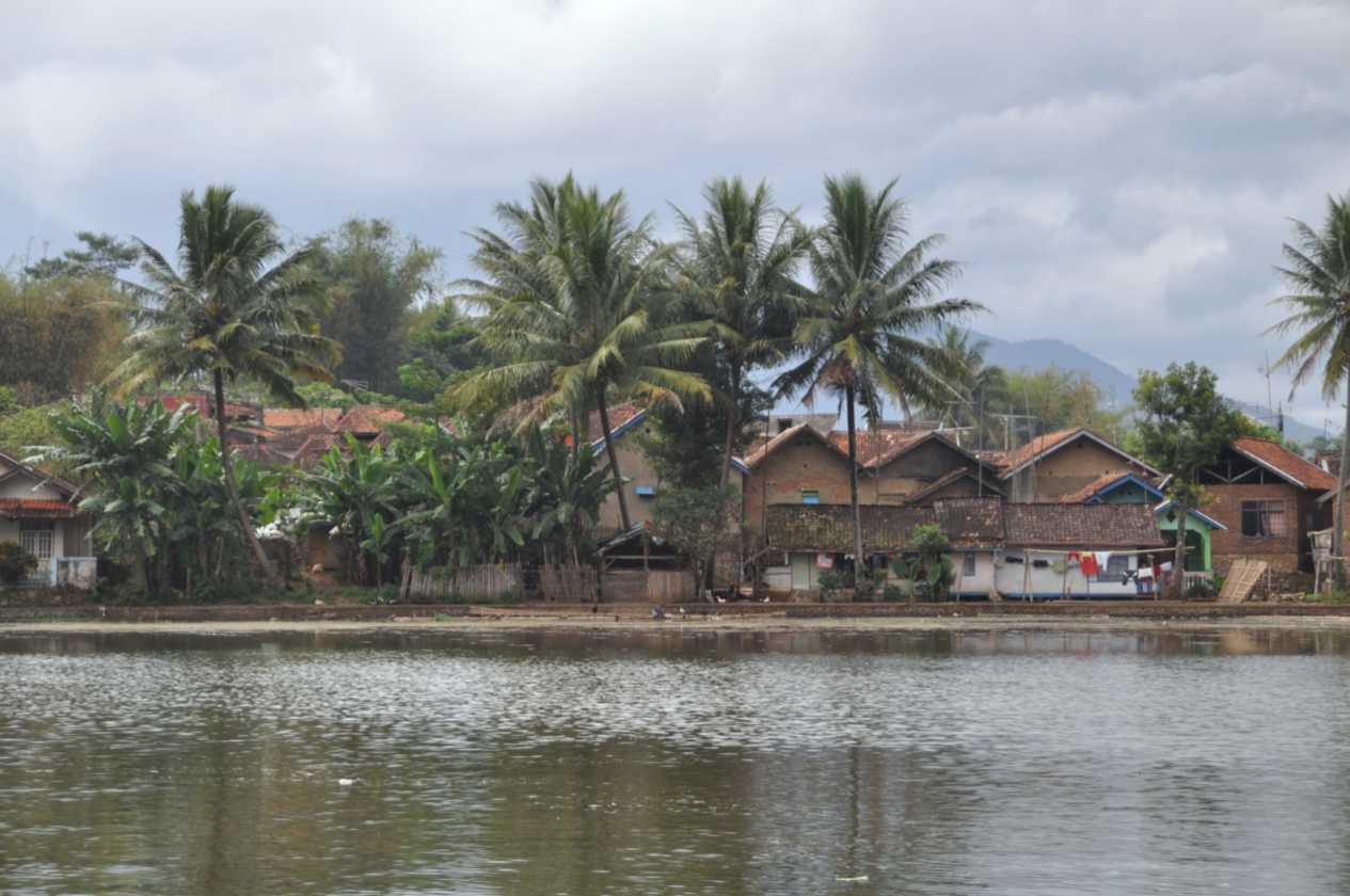 04 indo2010-07