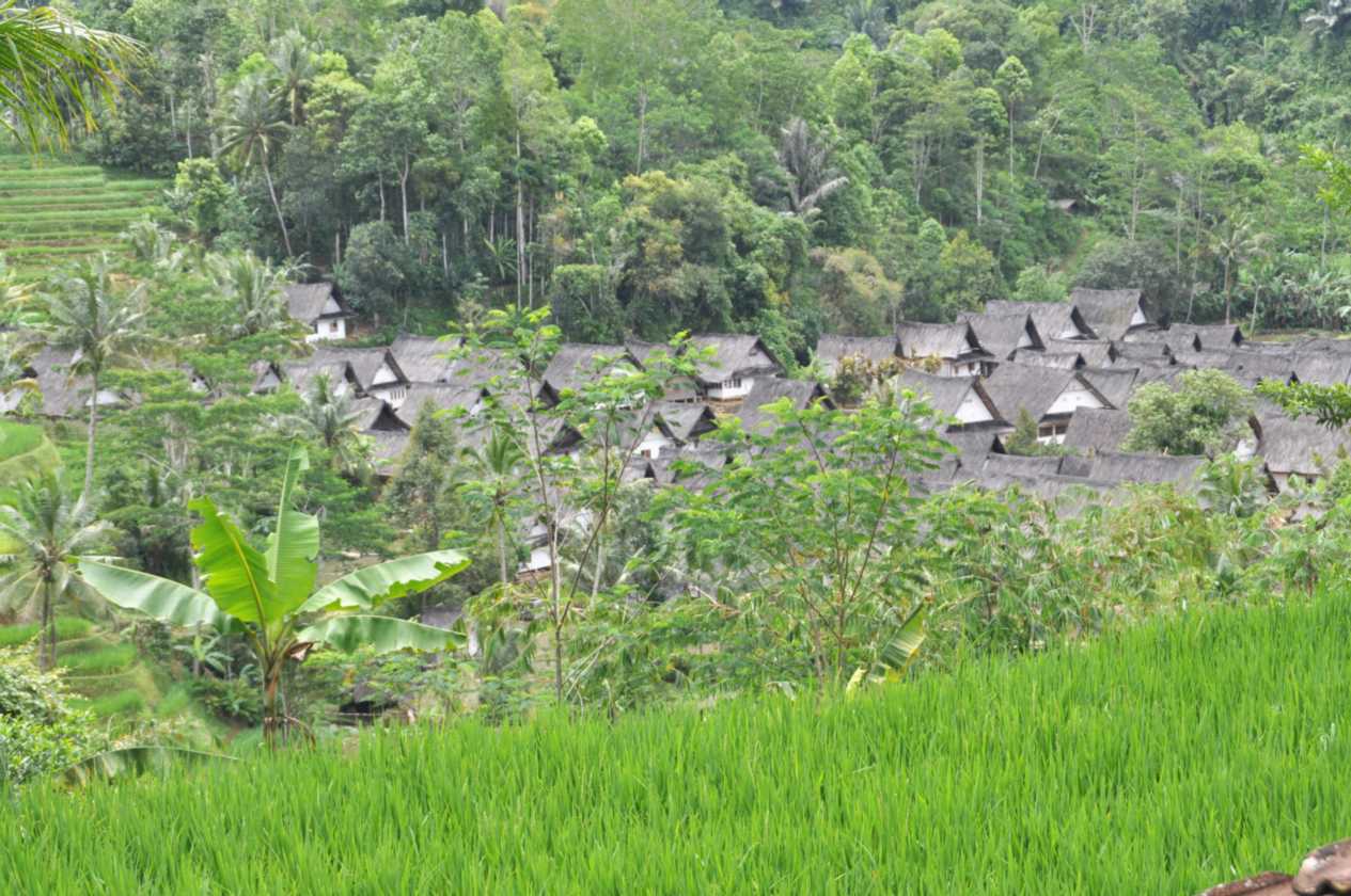 04 indo2010-32