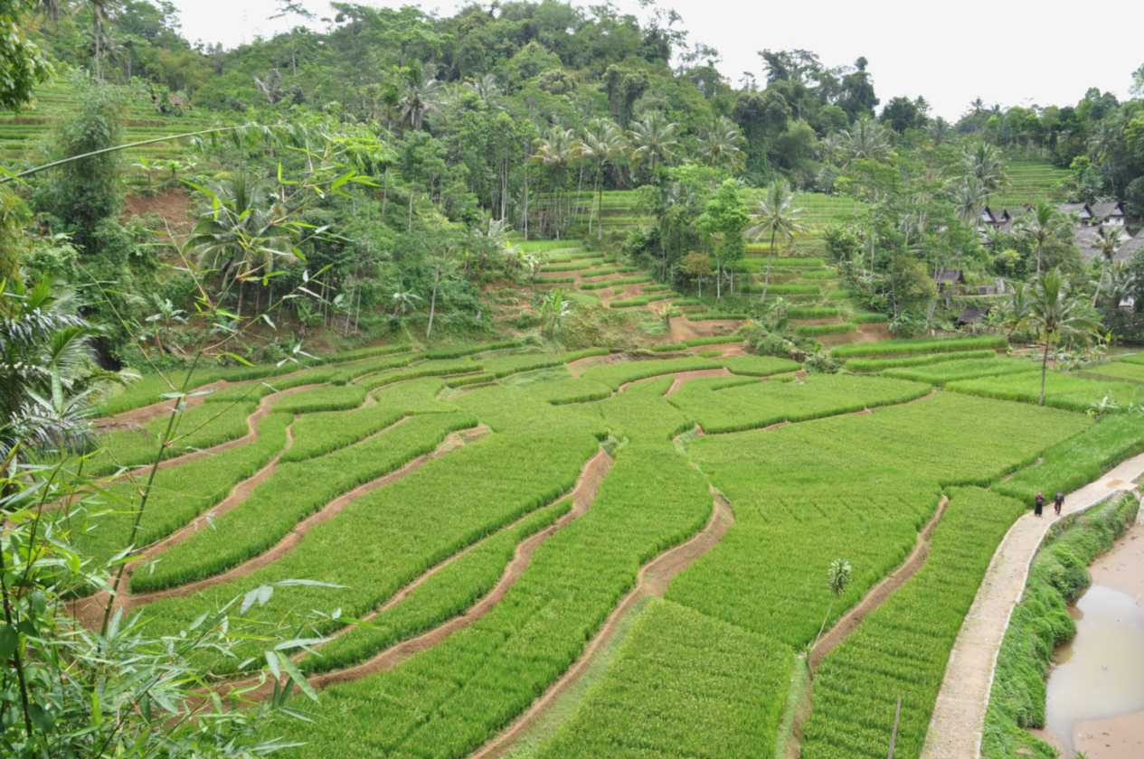 04 indo2010-37