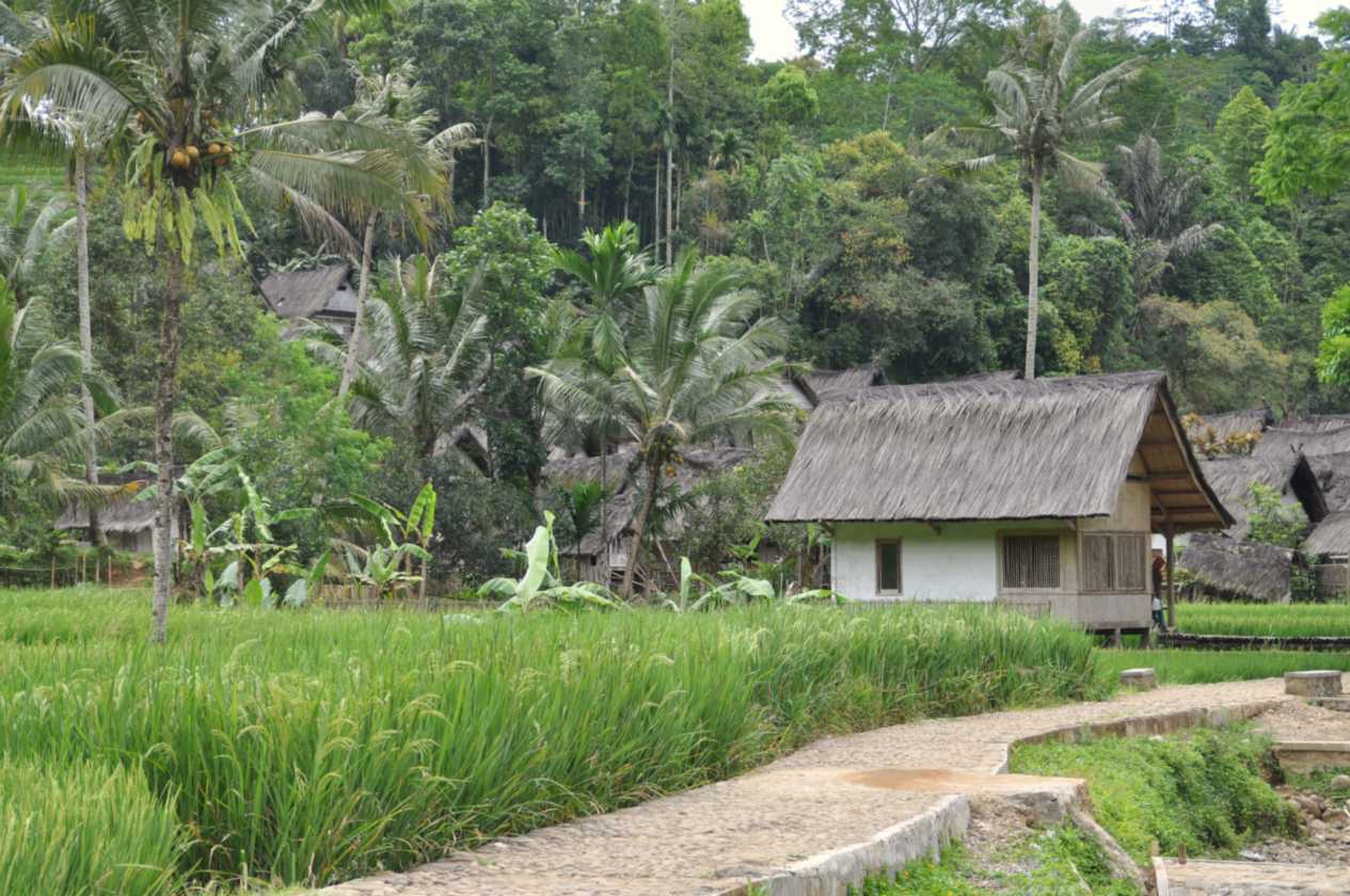 04 indo2010-38