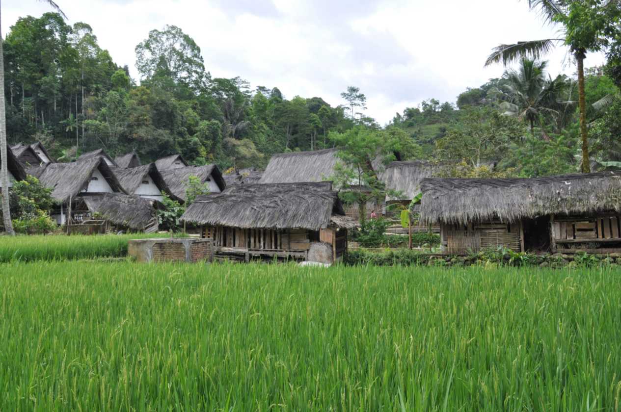 04 indo2010-40