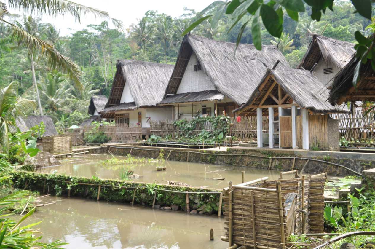 04 indo2010-59