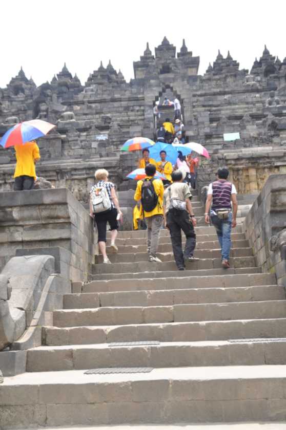 05 indo2010-15
