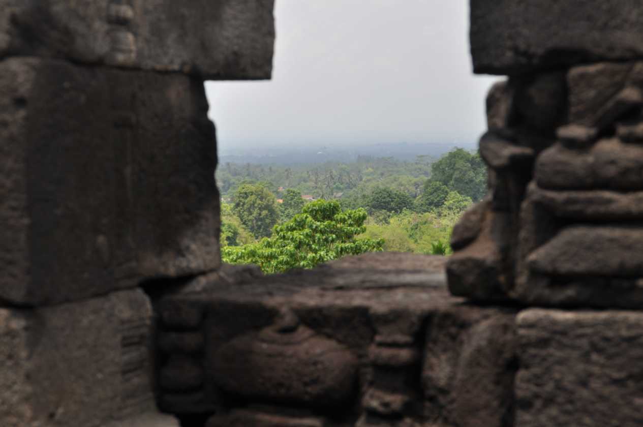 05 indo2010-20